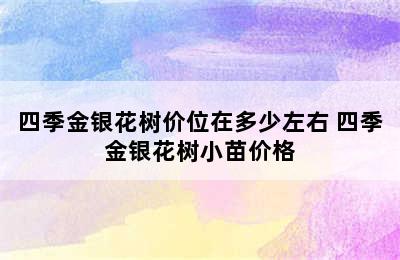 四季金银花树价位在多少左右 四季金银花树小苗价格